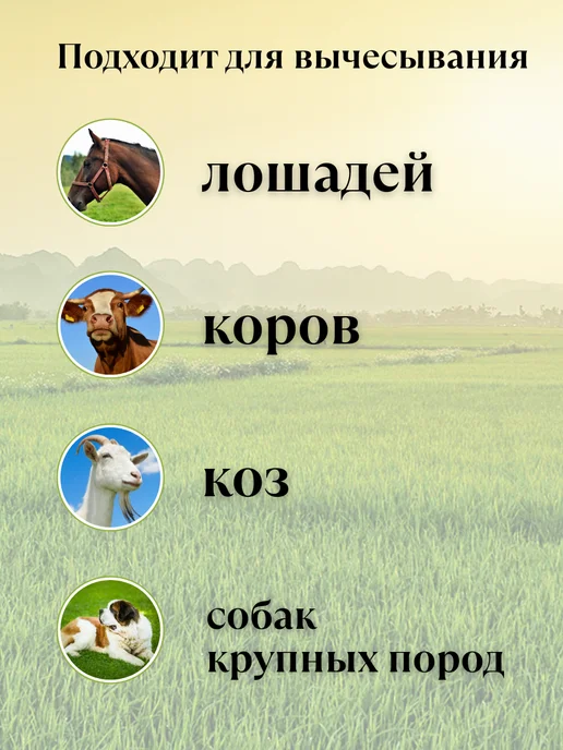 БТНК Скребница спиральная, двухсторонняя, металлическая, красный, фото 2