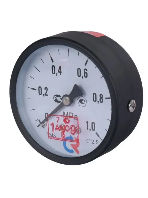 РОСМА Манометр ТМ-310Т.00(0-1MPa)G1 4.2,5, черный, фото 3