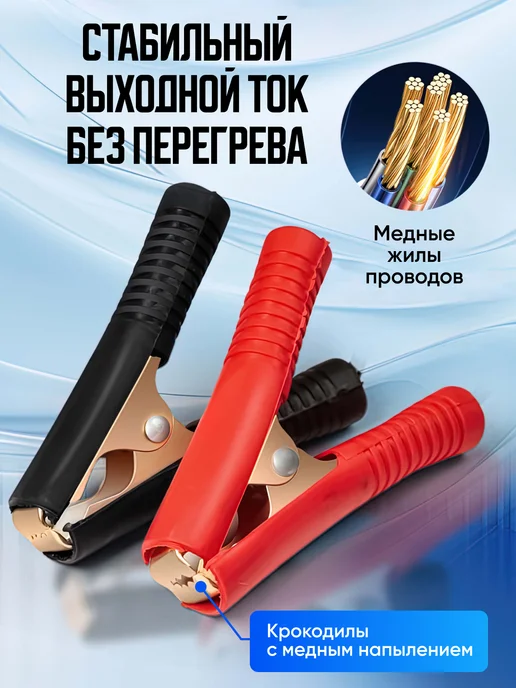 Dela Импульсное зарядное устройство для аккумулятора 12 24 вольт, вариант, фото 6