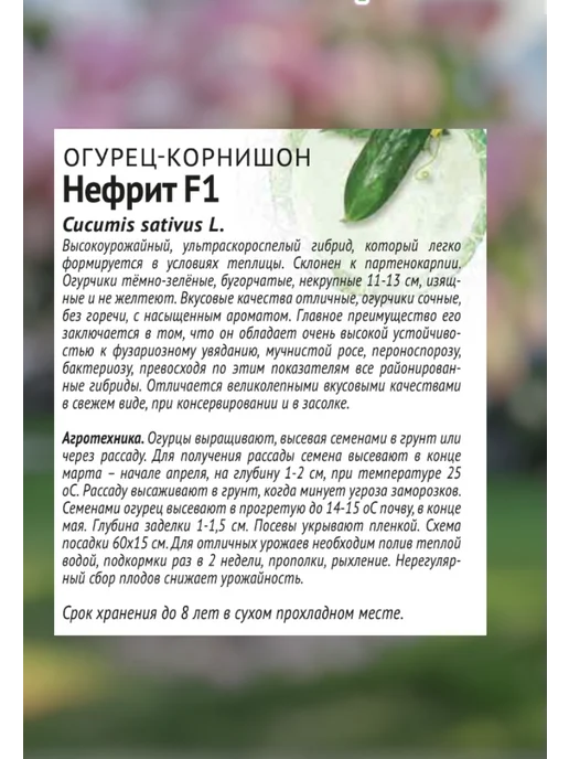 Агросидстрейд Самоплодные огурцы Патриот, 5 сортов, зеленый, фото 3