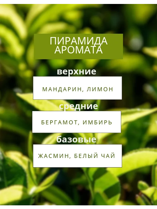 Aroma Path Автопарфюм в машину Диффузор Белый чай, белый, фото 4