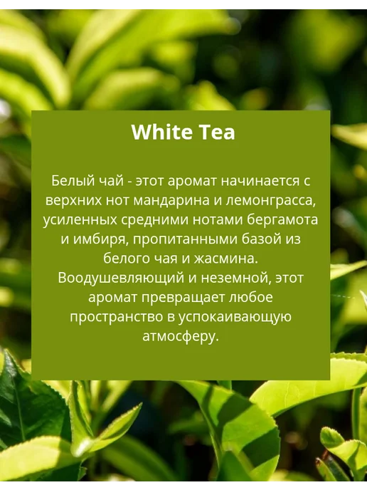 Aroma Path Автопарфюм в машину Диффузор Белый чай, белый, фото 5
