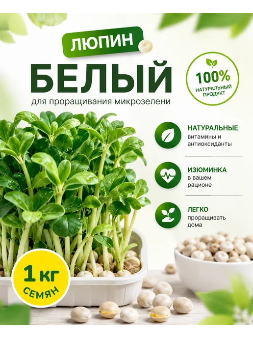 Агросидстрейд Люпин Белый 1 кг для микрозелени, 1 кг