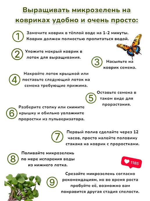 Агросидстрейд Люпин Белый 1 кг для микрозелени, 1 кг, фото 3