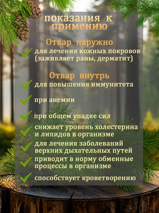 Чайный домик АРХЫЗ Пыльца сосны для иммунитета, вариант, фото 3