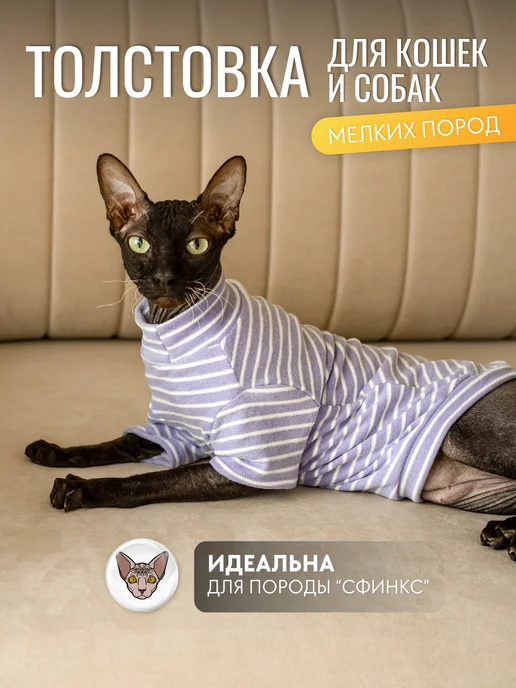 iZUMKi home Одежда для кошек и собак, фиолетовый