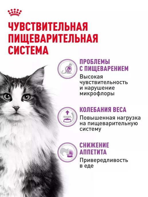 Сухой корм Royal canin Sensible Кошек для собак, 2 кг, фото 2