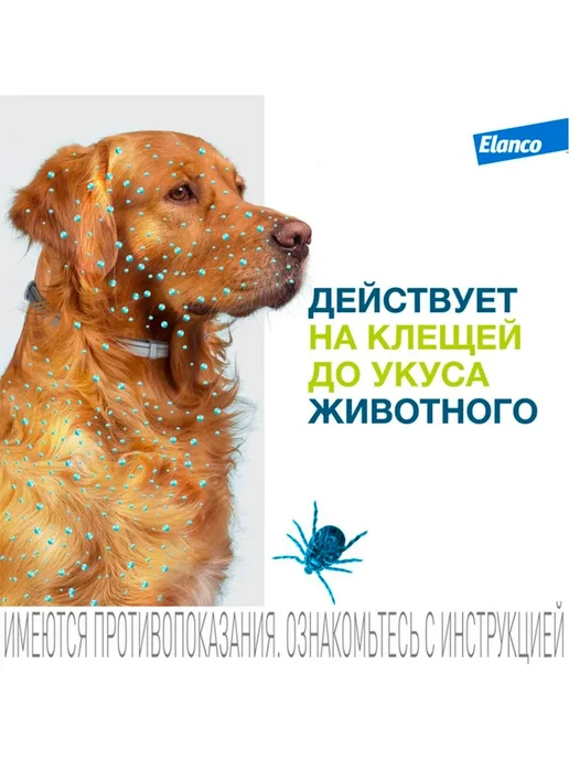 Форесто ошейник для собак от клещей и блох, до 8 кг, 38 см, 8 кг, фото 2