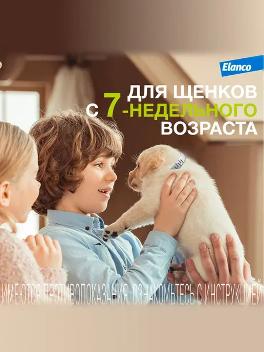 Форесто ошейник для собак от клещей и блох, до 8 кг, 38 см, 8 кг, фото 5