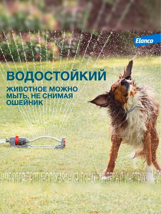 Форесто ошейник для собак от клещей и блох, до 8 кг, 38 см, 8 кг, фото 6