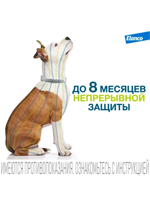 Форесто ошейник для собак от клещей и блох, до 8 кг, 38 см, 8 кг, фото 8