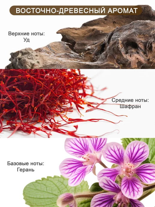 KOSLAHOME 2шт набор ароматизаторов подарочный, Ароматизатор в машину Луи, фото 3