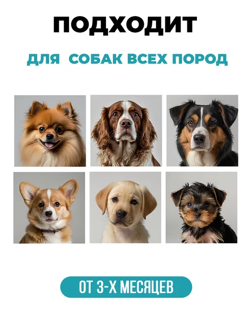 Spets Шампунь для собак с нейтрализатором запаха, 1 л, 1 л, фото 3