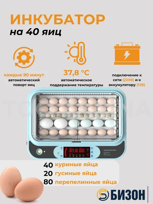 Bizon Домашний инкубатор на 40 яиц с овоскопом, голубой