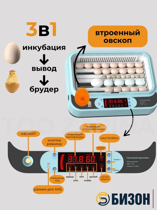 Bizon Домашний инкубатор на 40 яиц с овоскопом, голубой, фото 2