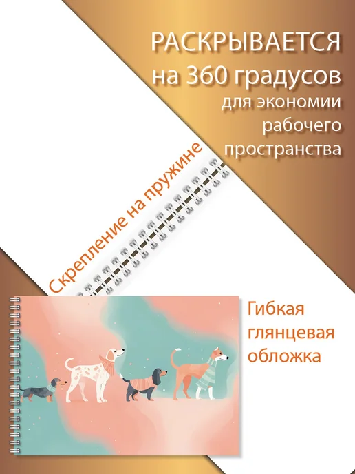 Газета Крот Альбом для рисования, голубой, фото 3