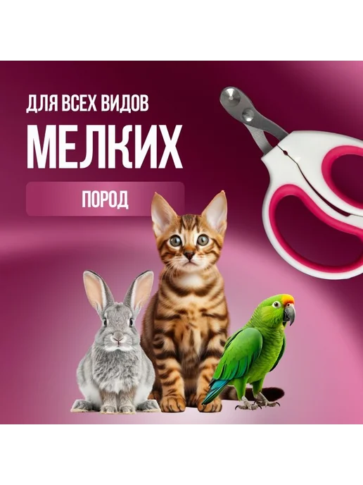 Когтерезка для кошек с ограничителем Белый, белый, фото 3