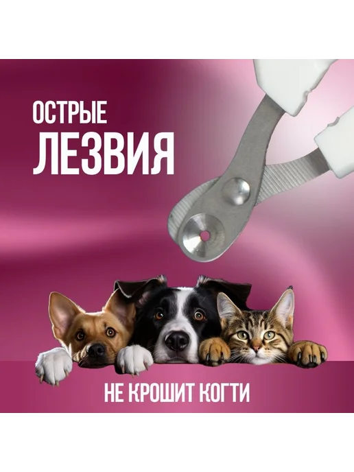 Когтерезка для кошек с ограничителем Белый, белый, фото 6