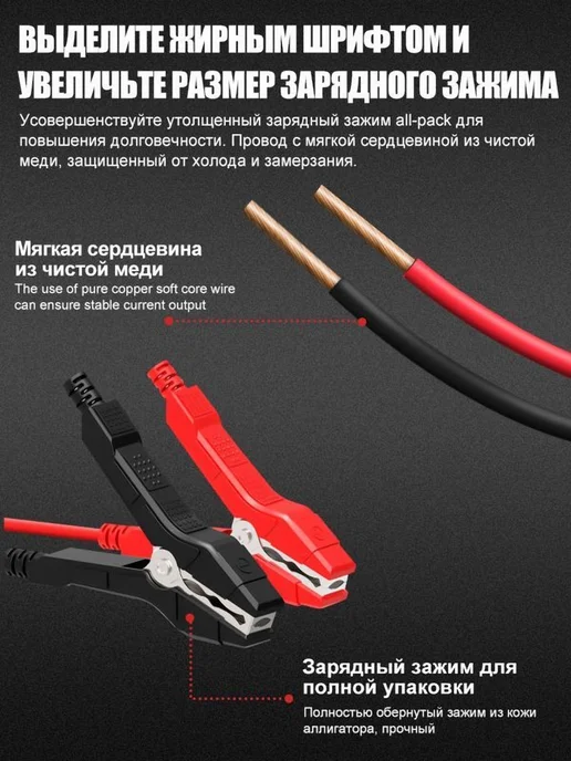 E-FAST Зарядное устройство 12В с восстановлением 10Ah-100Ah, вариант, фото 7