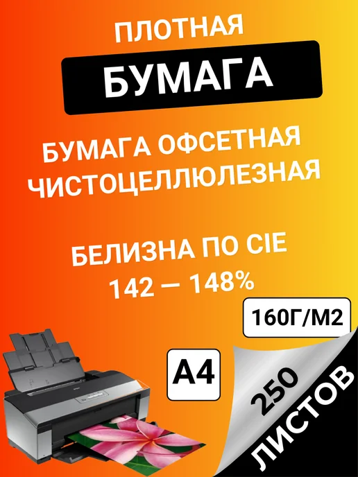 Бумага энгель A4, 160 г/м², 250 листов, матовая, фото 4