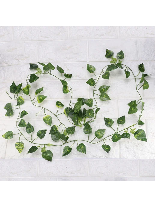 Лианы для террариума 210см листья сциндапсуса 6 89 фута, вариант, фото 6