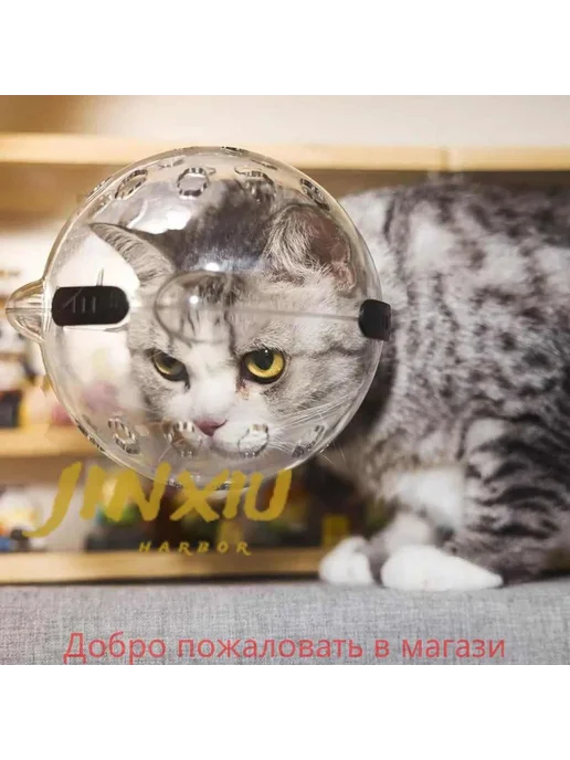Намордник для кошек и собак прозрачный S, вариант, фото 4