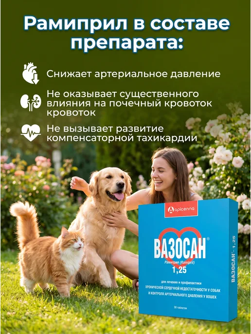 apicenna Вазосан 1,25 для собак и кошек, 30 таблеток, вариант, фото 3