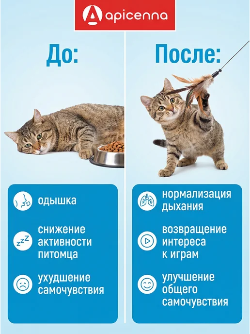 apicenna Вазосан 1,25 для собак и кошек, 30 таблеток, вариант, фото 5
