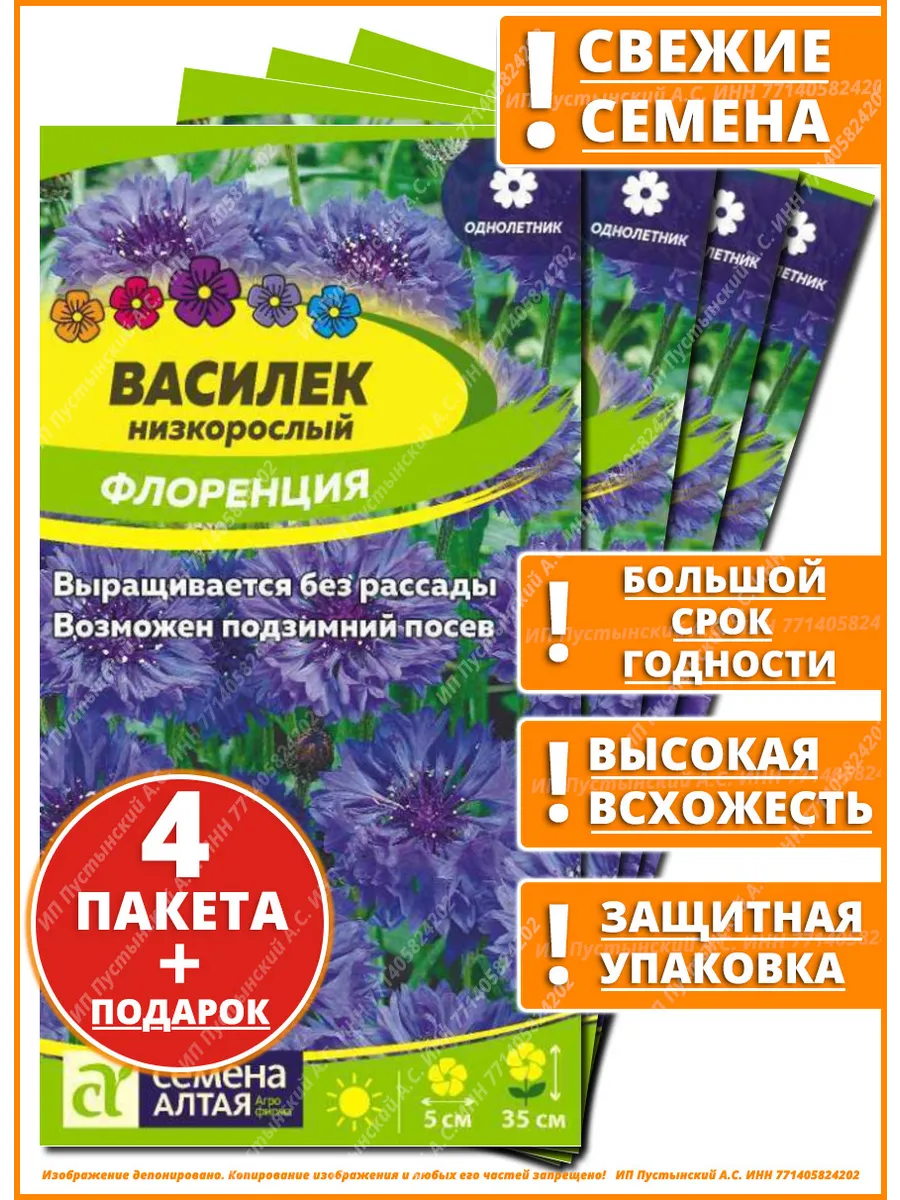 Семена василек для сада дачи посадки