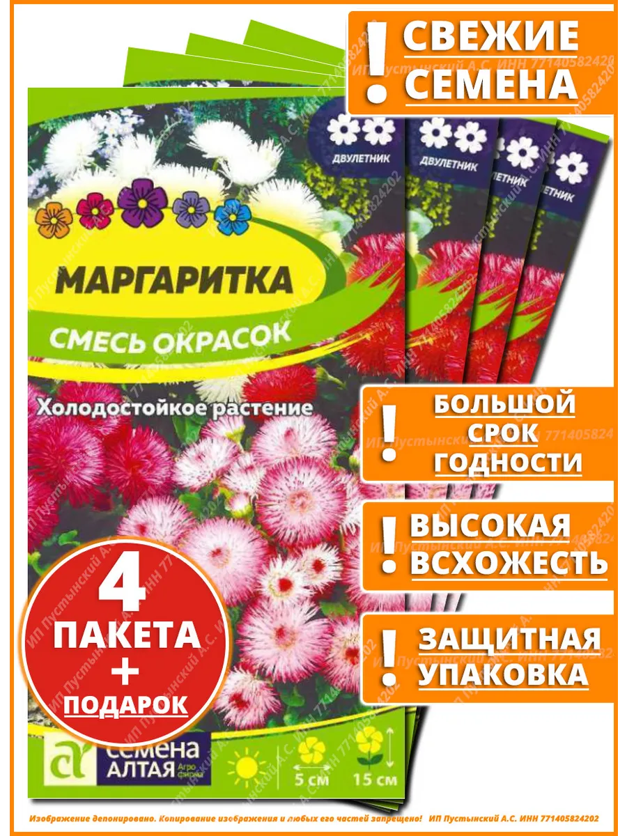 Семена маргаритка для сада дачи посадки