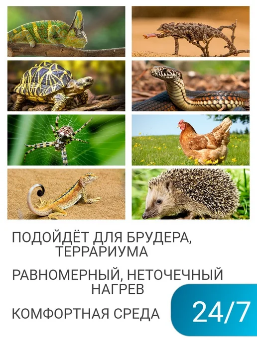 Инфракрасная лампа 100Вт, 100 Вт, фото 3