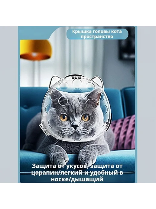 Прозрачный шлем для кошек из ABS M, вариант