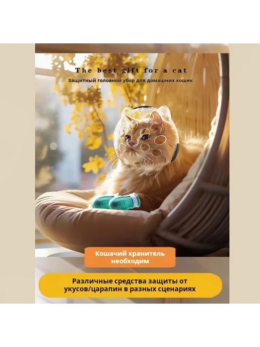 Прозрачный шлем для кошек из ABS M, вариант, фото 3