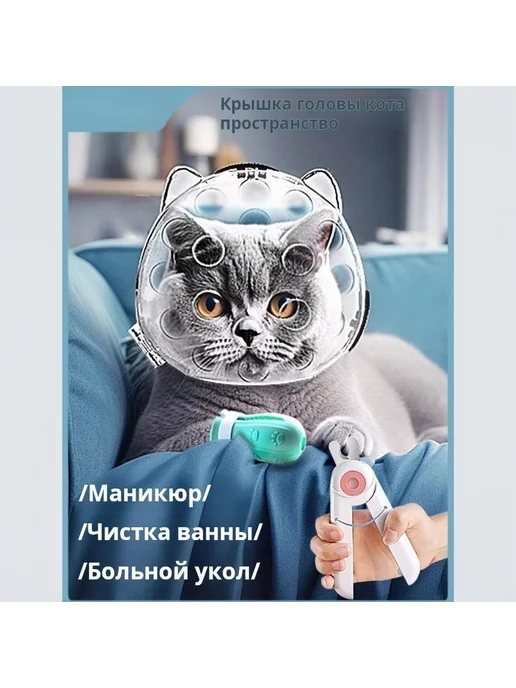 Прозрачный шлем для кошек из ABS M, вариант, фото 6