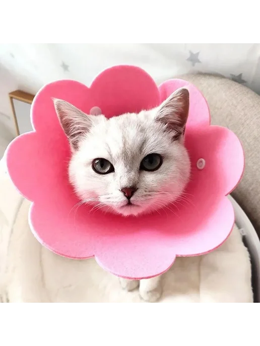 Защитный ветеринарный воротник для животных S, вариант, фото 8