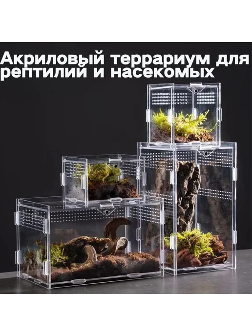 Акриловый террариум для рептилий и насекомых 250*150*150, 250x150, фото 2
