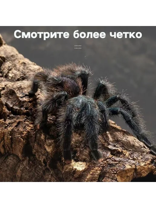 Акриловый террариум для рептилий и насекомых 250*150*150, 250x150, фото 3