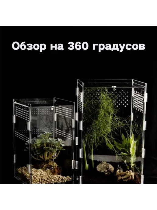 Акриловый террариум для рептилий и насекомых 250*150*150, 250x150, фото 4