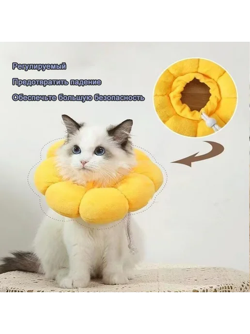 Защитный ветеринарный воротник для кошек и собак до 2 кг XS, 2 кг, фото 3