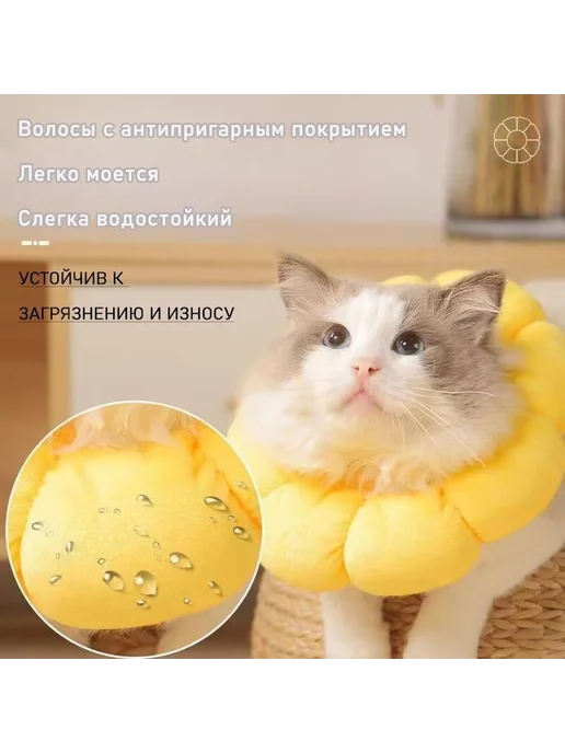 Защитный ветеринарный воротник для кошек и собак до 2 кг XS, 2 кг, фото 4