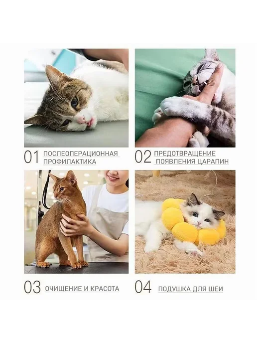 Защитный ветеринарный воротник для кошек и собак до 2 кг XS, 2 кг, фото 6