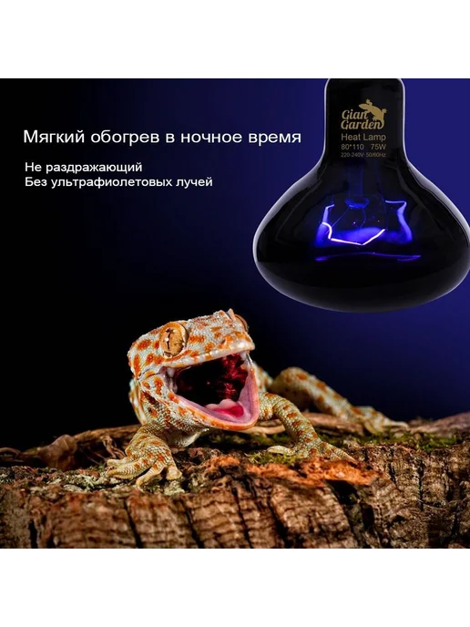 Ночные тепловые лампы для рептилий аквариумов 50W 50Вт, 50 Вт, 50 Вт, фото 3