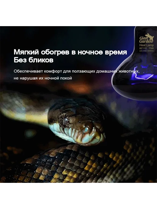 Ночные тепловые лампы для рептилий аквариумов 50W 50Вт, 50 Вт, 50 Вт, фото 4