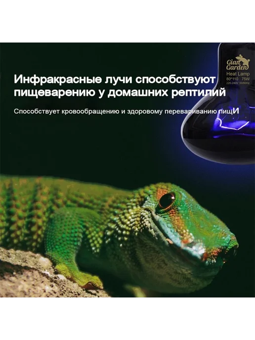 Ночные тепловые лампы для рептилий аквариумов 50W 50Вт, 50 Вт, 50 Вт, фото 5