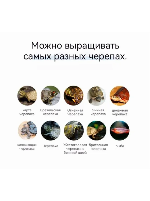 Аквариум для красноухой черепахи 55*30*29см с насосо Белый, 55x30, фото 4