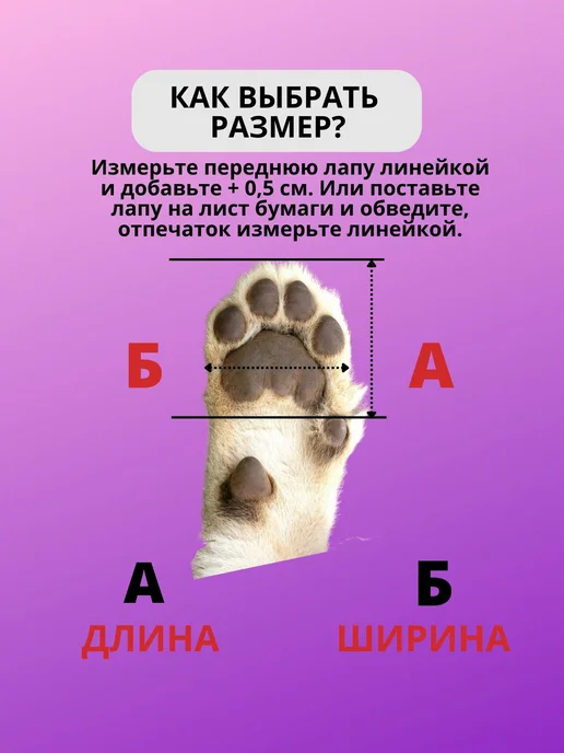 Обувь для собак для защиты лап S+ красный, красный, фото 4