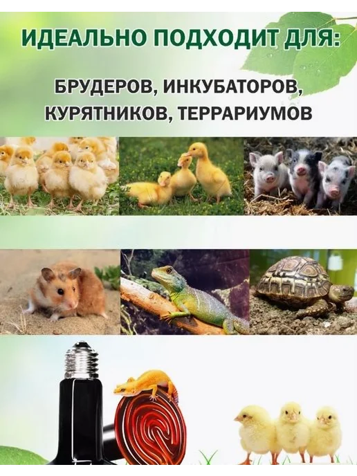 Лампа керамическая инфракрасная для обогрева 100Вт 100Вт, 100 Вт, 100 Вт, фото 3