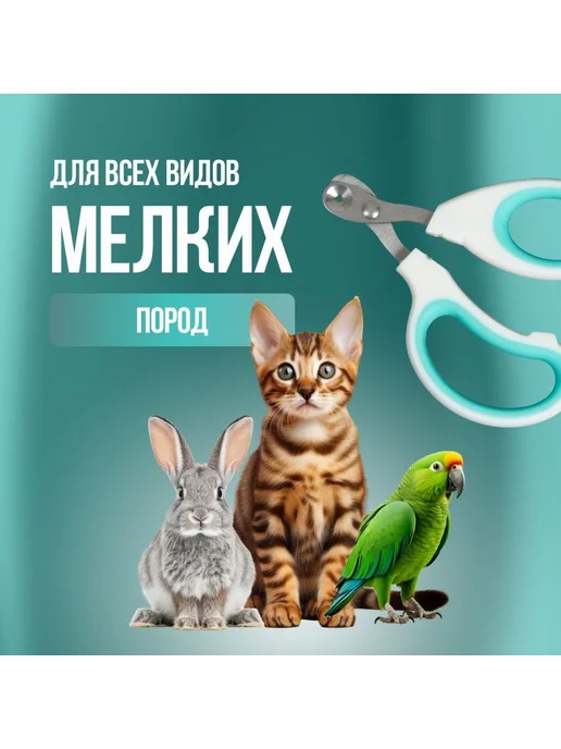 Когтерезка для кошек белый зеленый, белый, фото 3