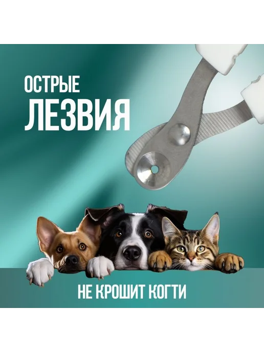 Когтерезка для кошек белый зеленый, белый, фото 5