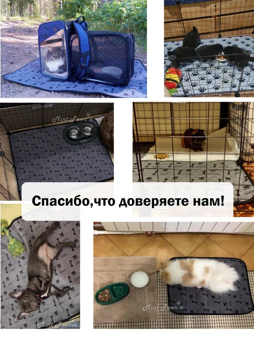 Многоразовая пеленка для собак 60x45 см Бежевый, бежевый, фото 8